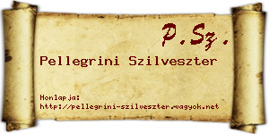 Pellegrini Szilveszter névjegykártya